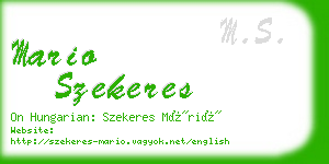 mario szekeres business card